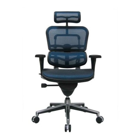 Raynor Marketing Eurotech Ergohuman Executive High Back Chair - ME7ERG-BLUE(N) - Blue Mesh ME7ERG-BLUE(N)
